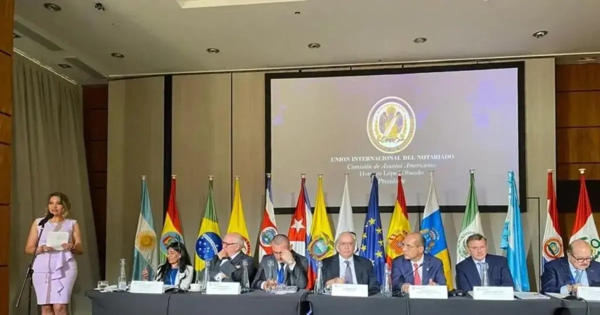 Imagen sin título