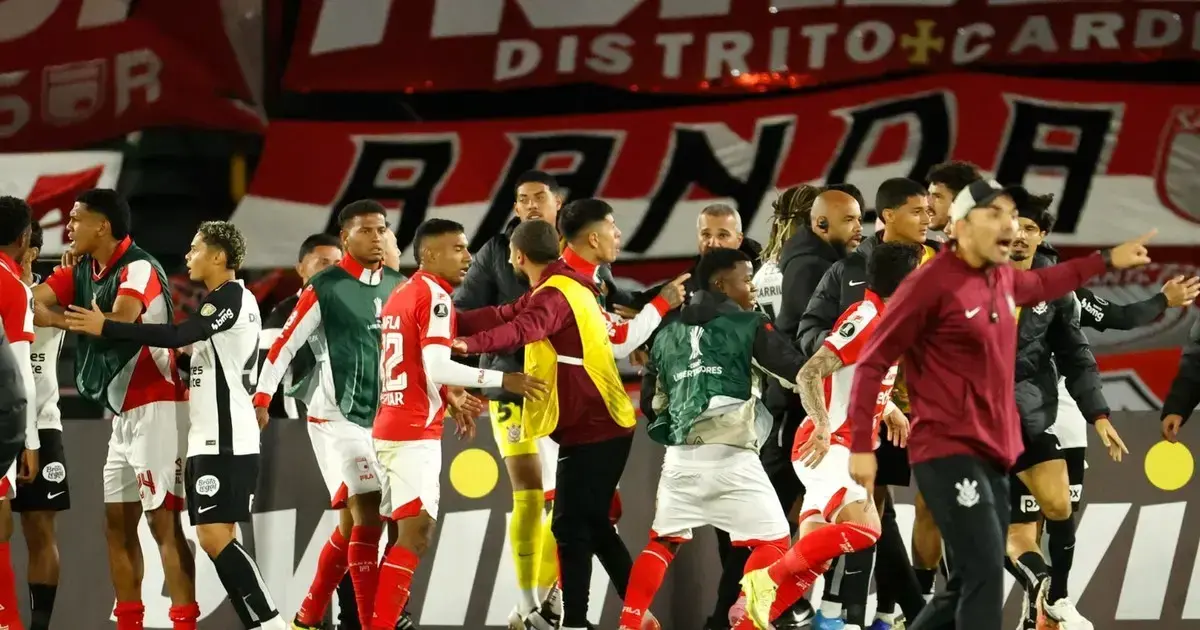 Imagen sin título