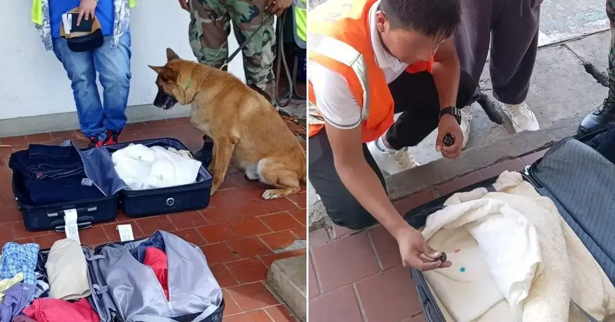 La droga estaba impregnada en las prendas de vestir