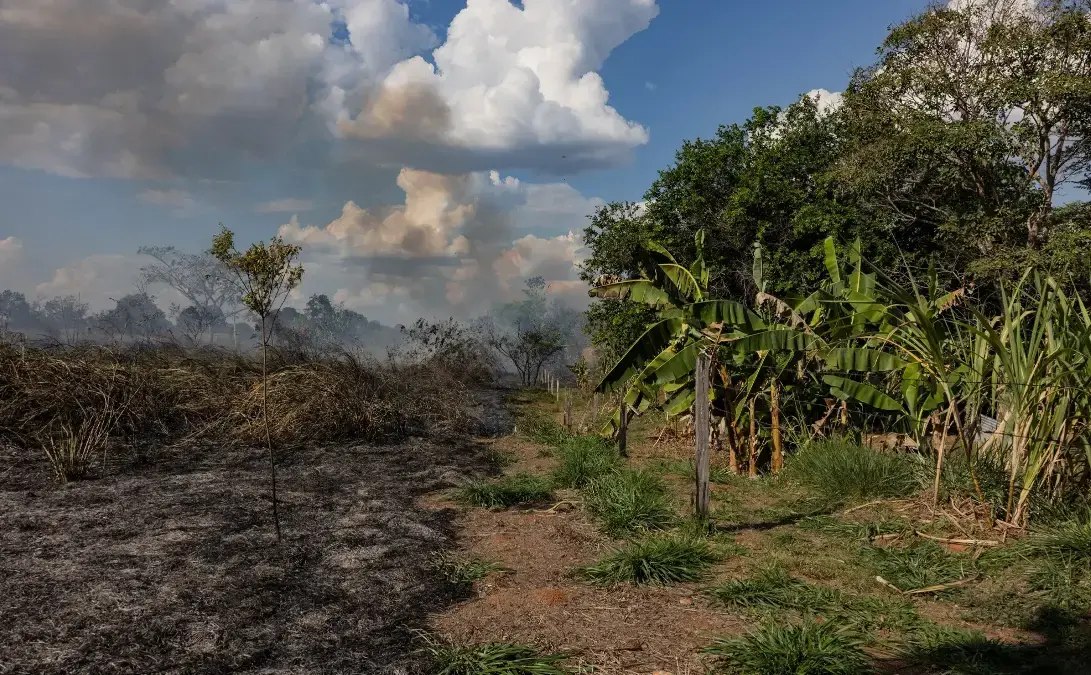 Vista aérea del boscoso Amazonas. La pérdida de bosque podría desencadenar una degradación generalizada.