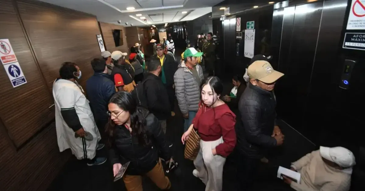Imagen sin título