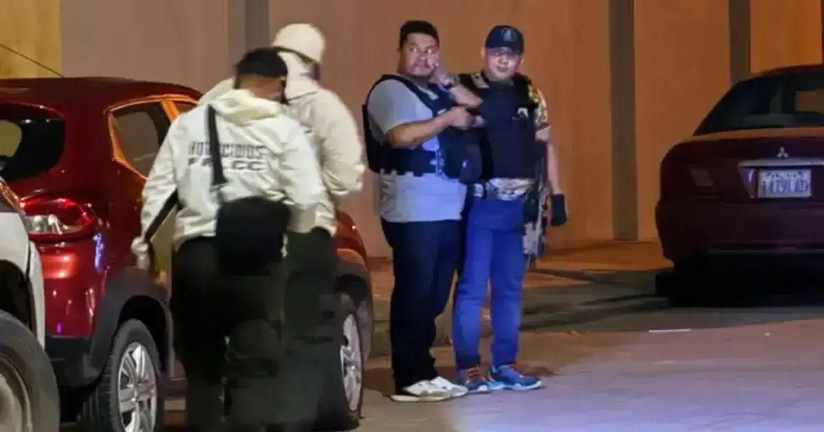 Imagen sin título