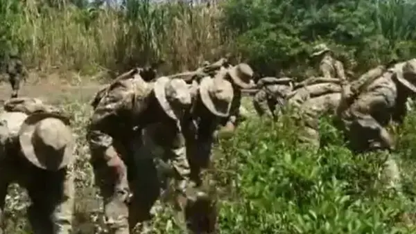 La Fuerza de Tarea Conjunta erradica coca en el Chapare. Foto RRSS