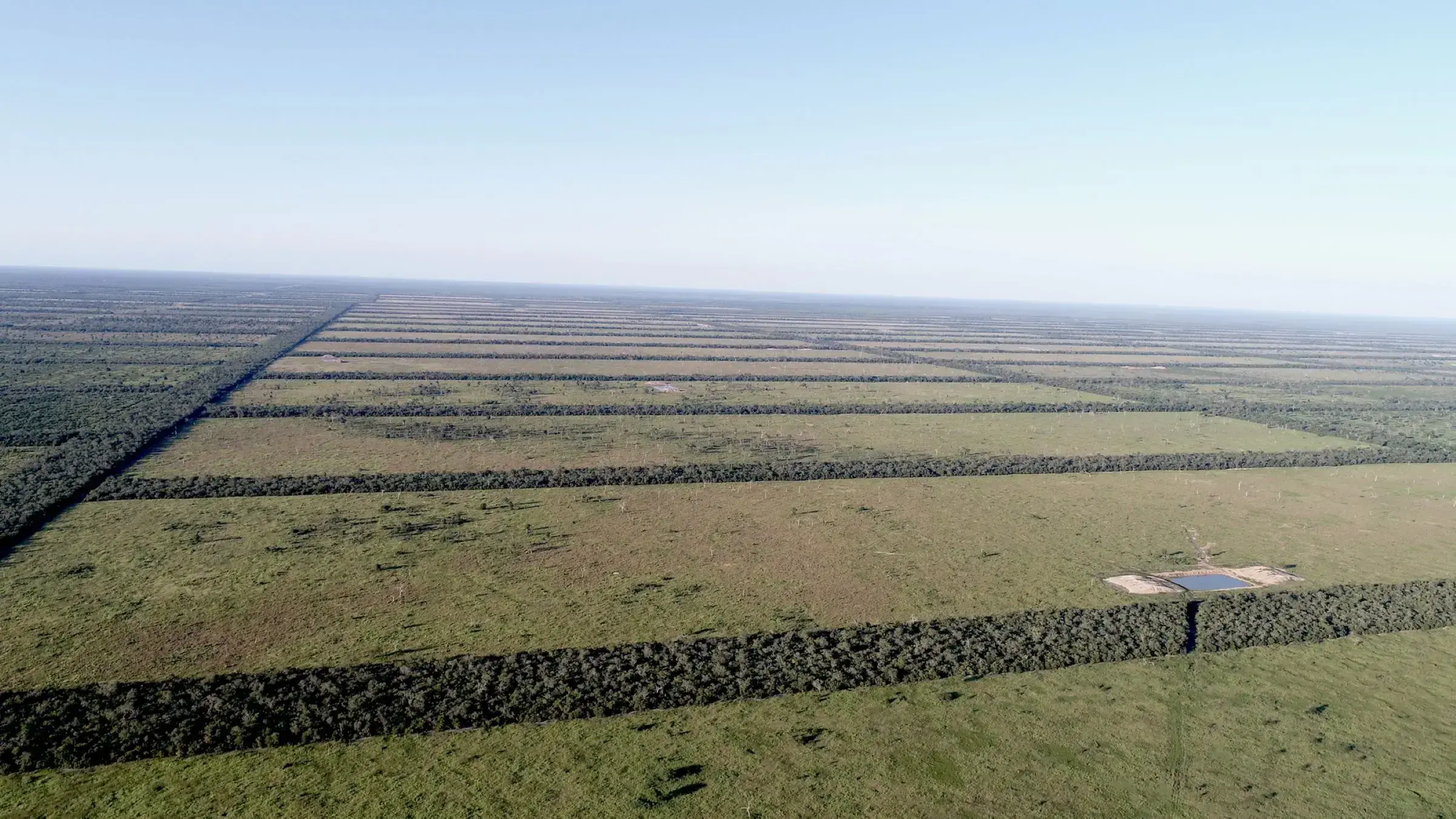 Tierras deforestadas para ganadería cerca de la Reserva de la Biosfera del Chaco.