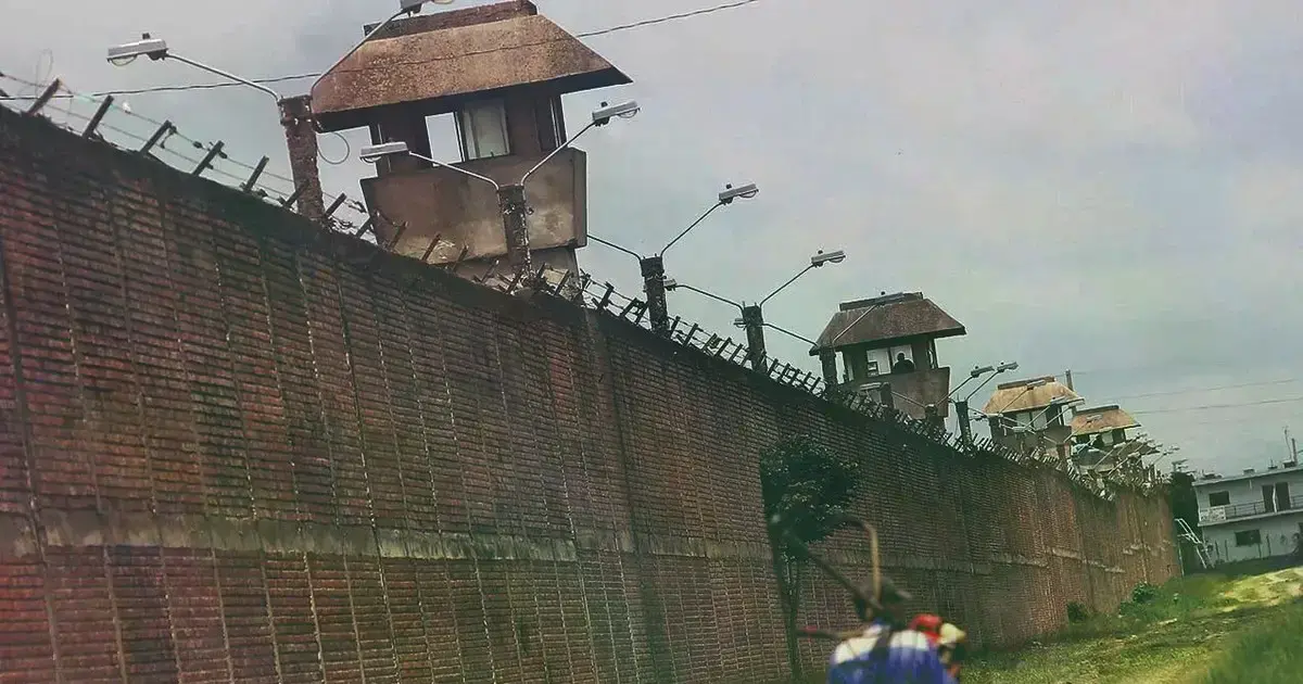 Imagen sin título