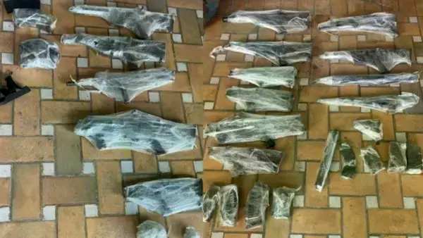 Una parte de las armas encontradas en el operativo.