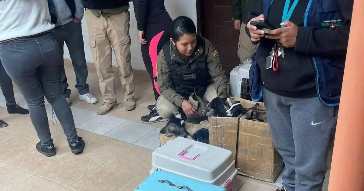 Efectivos policiales intervienen en la venta ilegal de animales