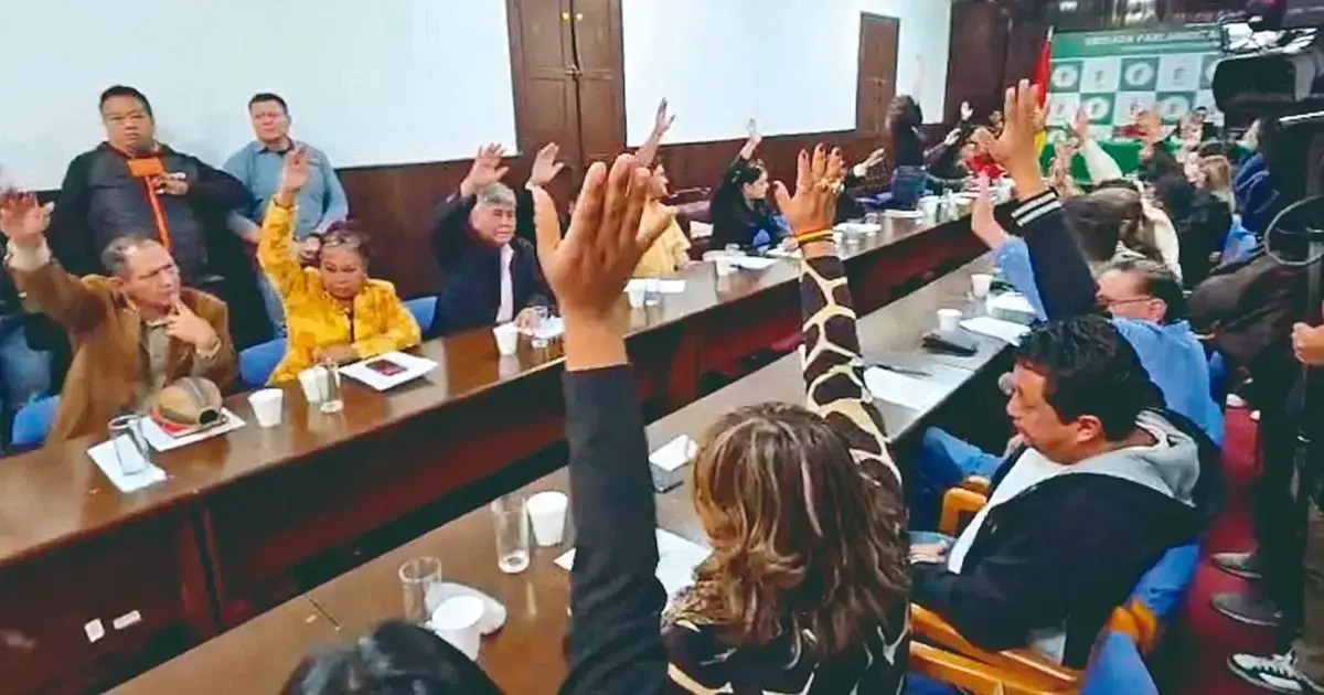 Fueron 43 de 44 legisladores los que aprobaron la resolución de respaldo a la norma propuesta.