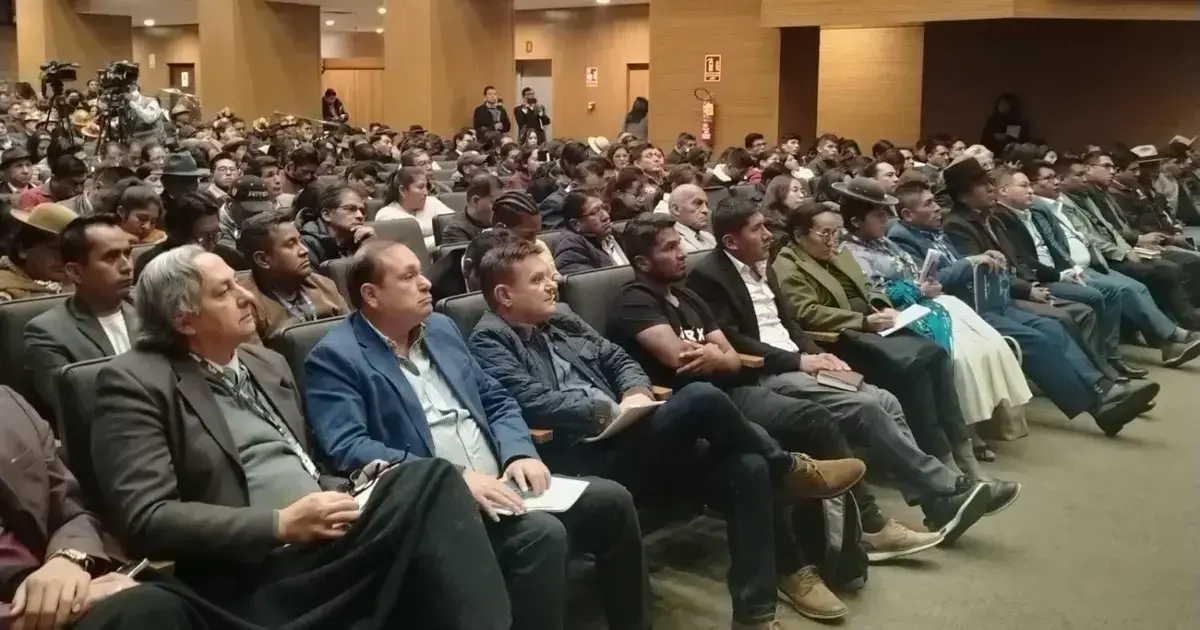 Imagen sin título
