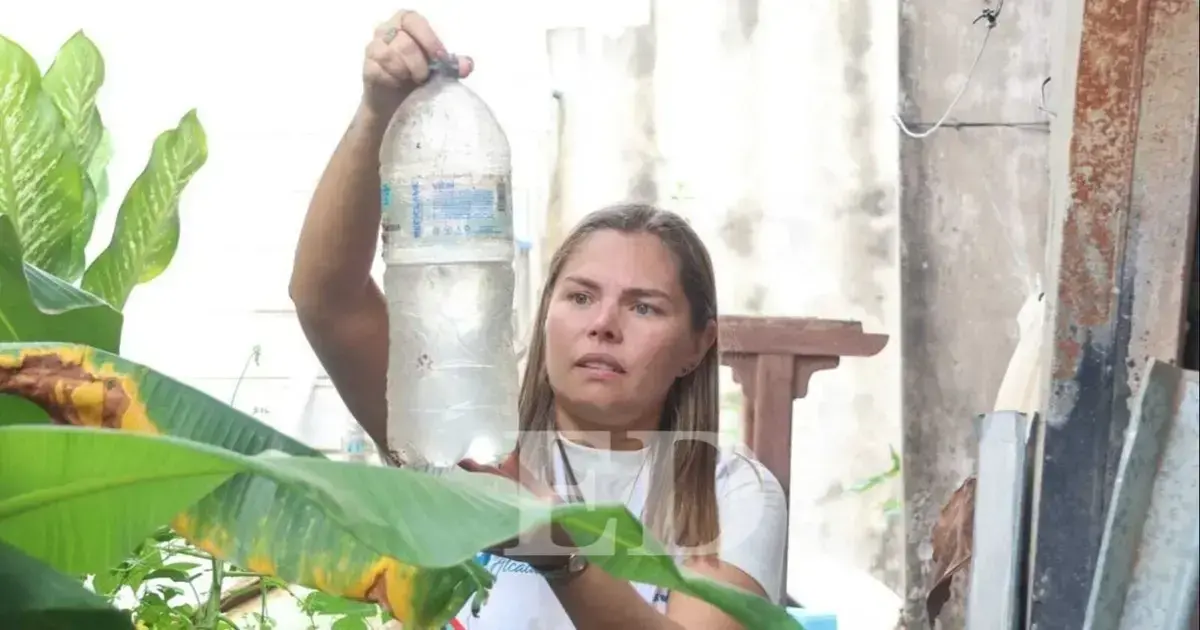 Foto de la última campaña de limpieza en los barrios contra el mosquito