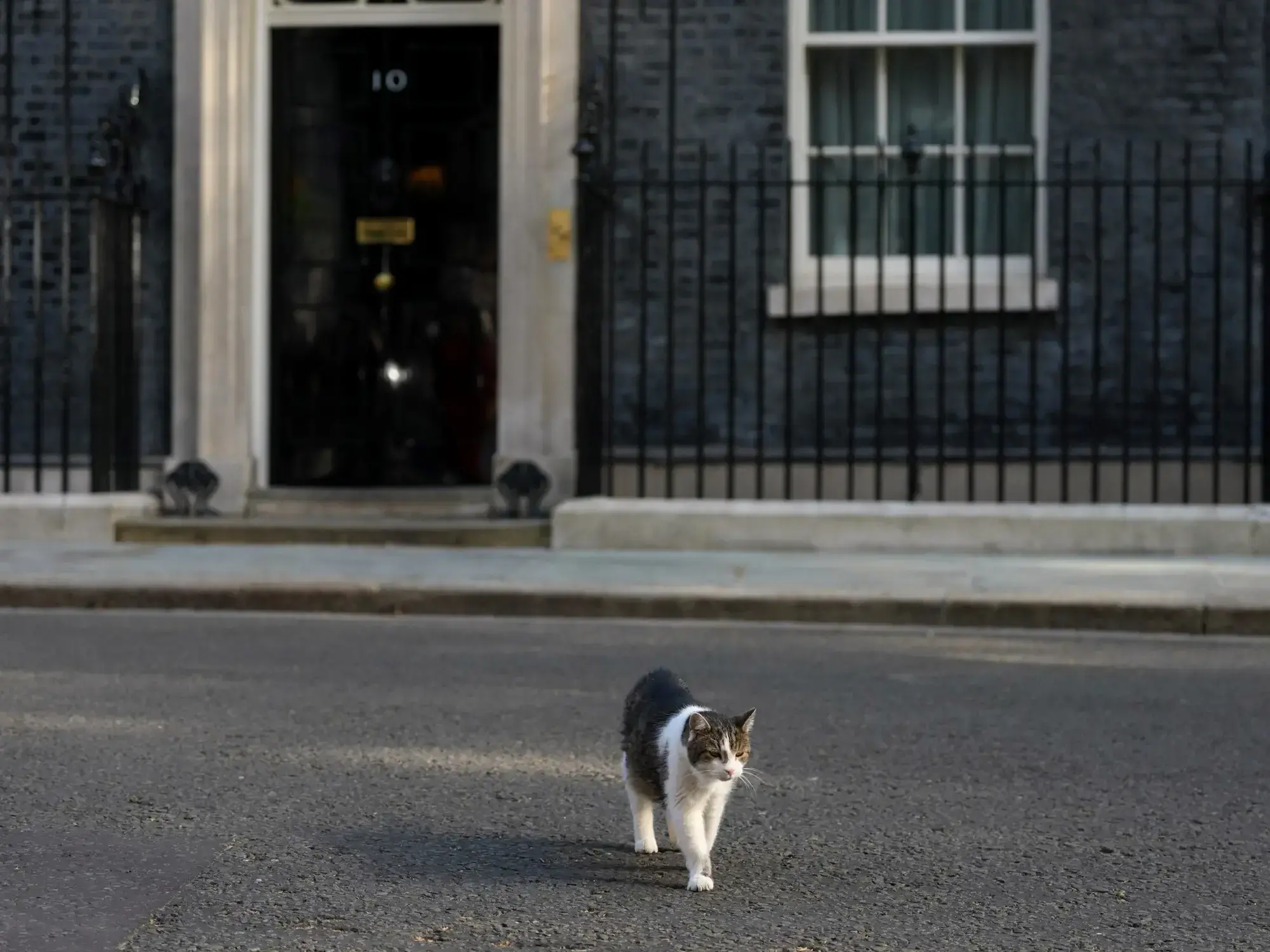 El primer ministro británico Keir Starmer.