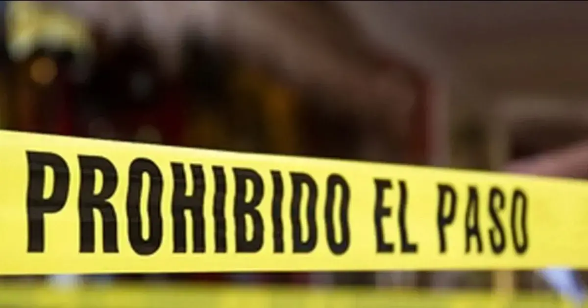 Imagen sin título