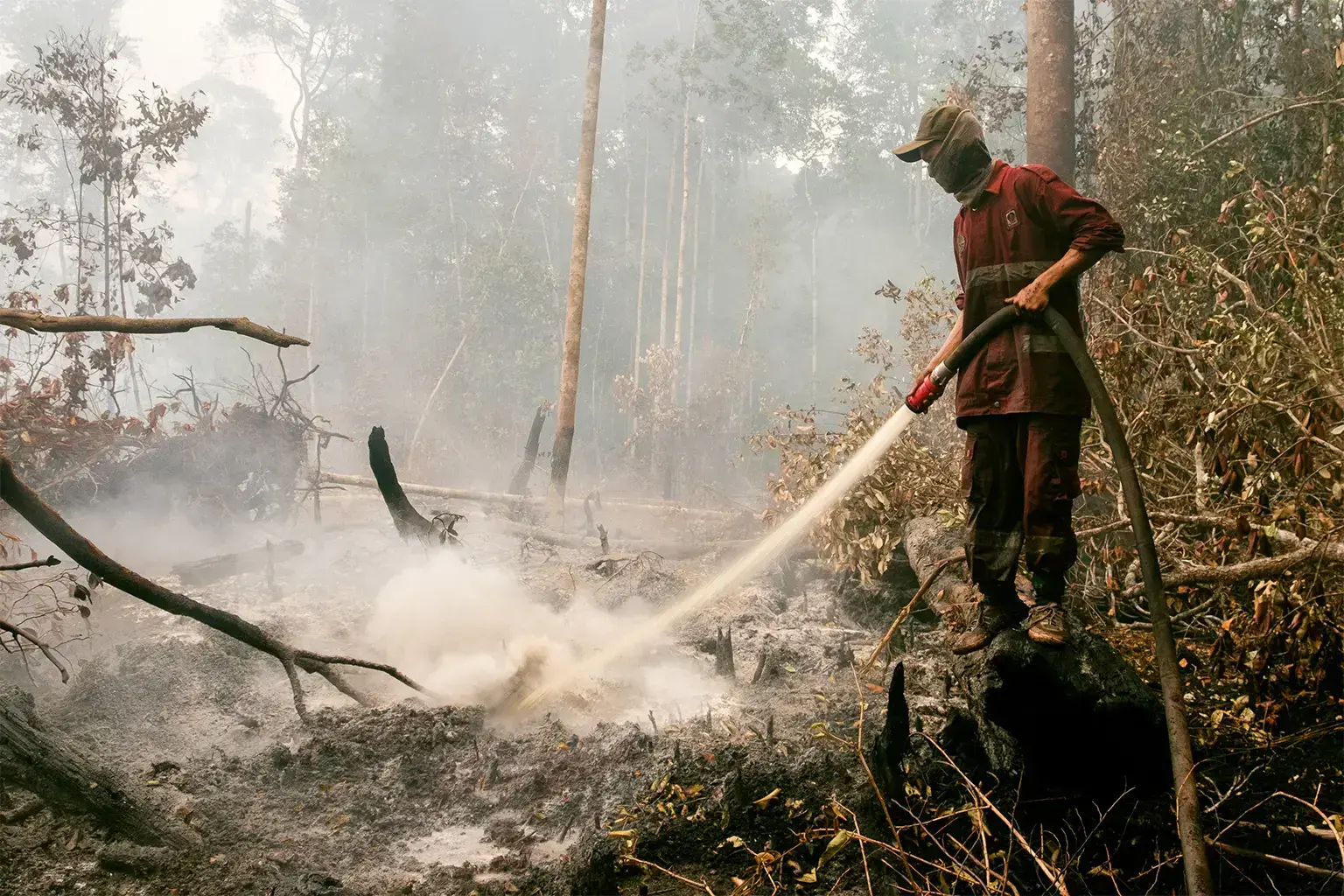 Bomberos intentan apagar incendios en turberas en Kalimantan Central, Indonesia.