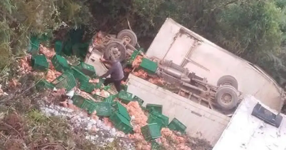 Camión volcado en Cerro Pata con carga de pollo esparcida