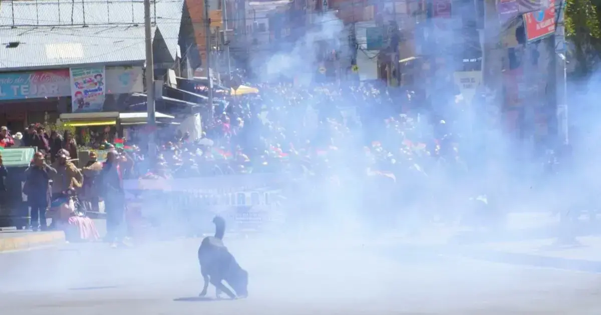 Imagen sin título