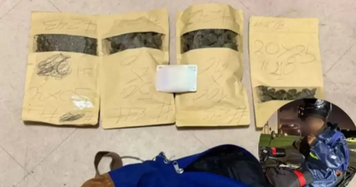 Lo sorprendieron con marihuana en una universidad de Chile