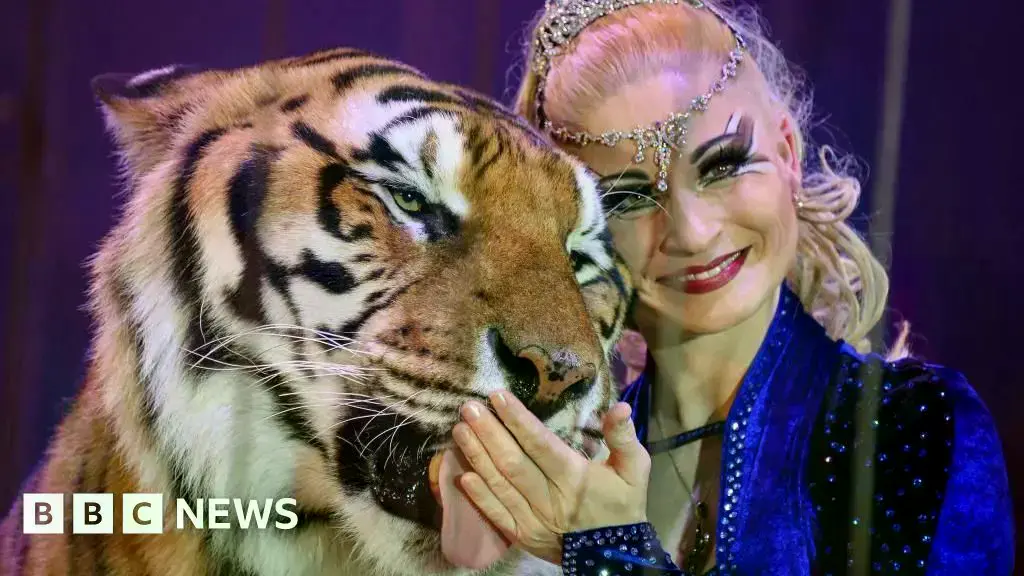 La policía alemana abate a un tigre escapado tras atacar a un hombre