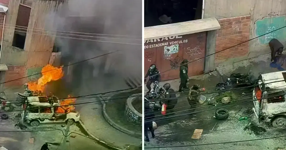 Imagen sin título