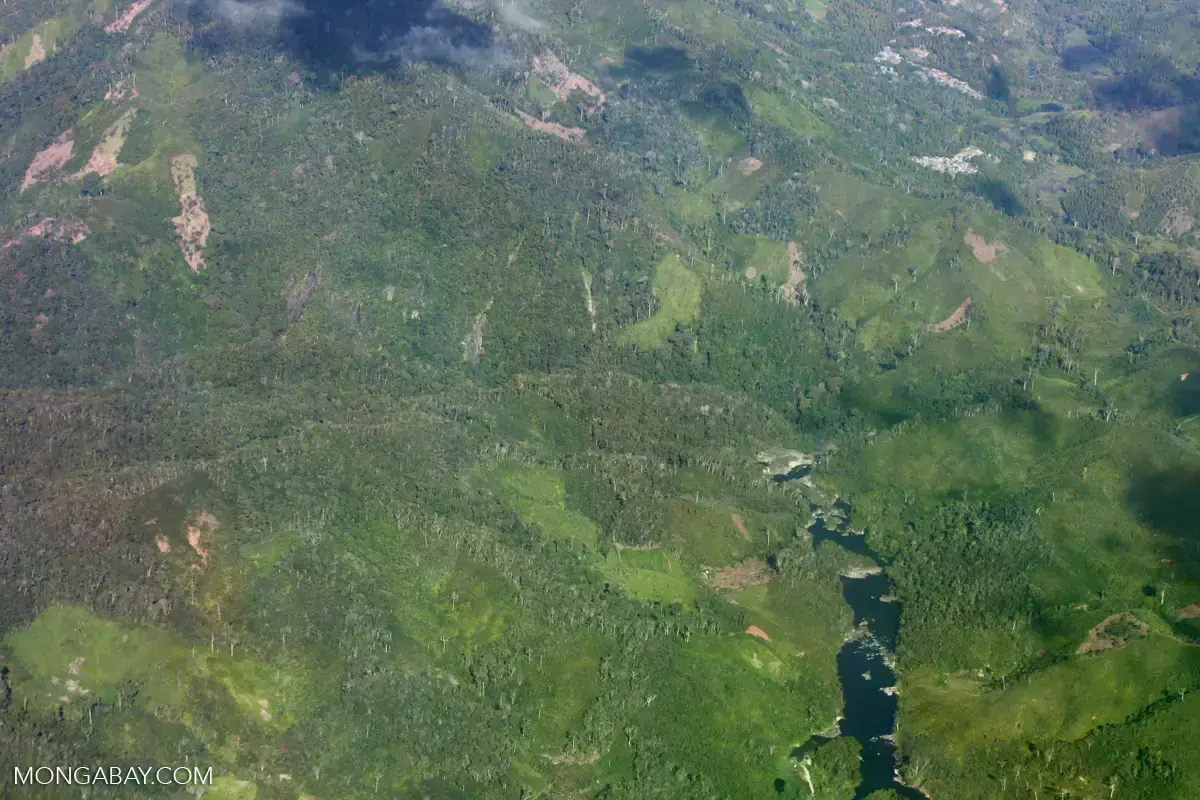 Una vista aérea del Parque Natural Makira.