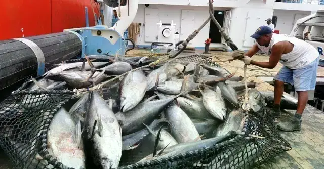 Imagen sin título