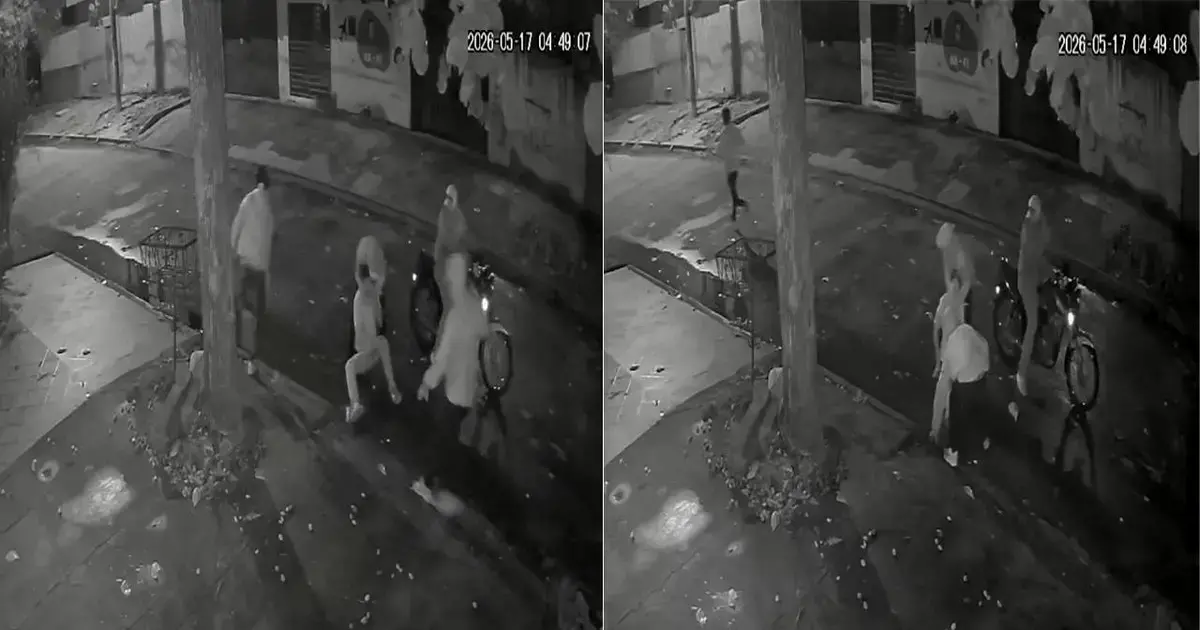 Cámaras de seguridad captaron el momento del asalto