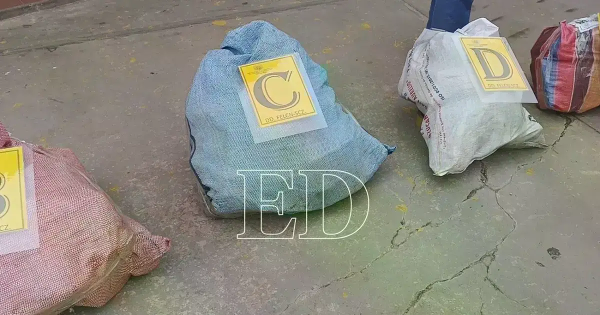 Imagen sin título