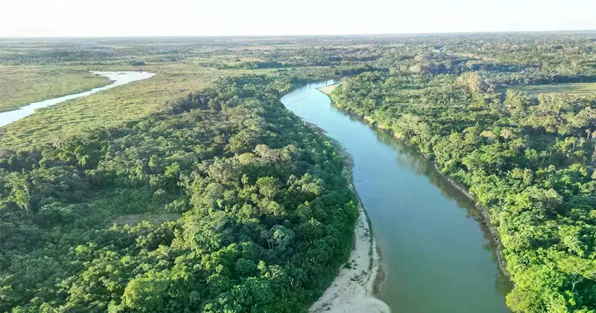 Imagen sin título