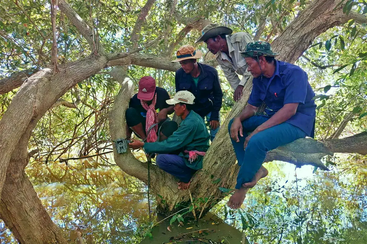 Residentes plantan árboles en Reang Til village como parte de la reforestación tras incendios.