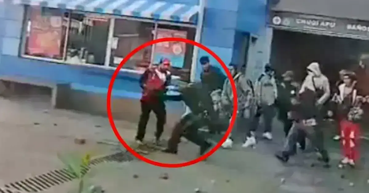 Imagen sin título