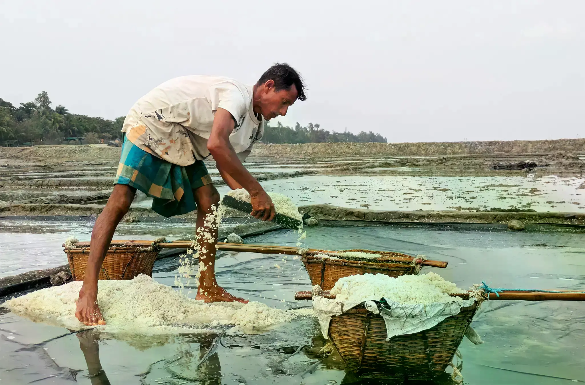 Un agricultor recoge sal seca de su campo en Kutubdia, Cox's Bazar.