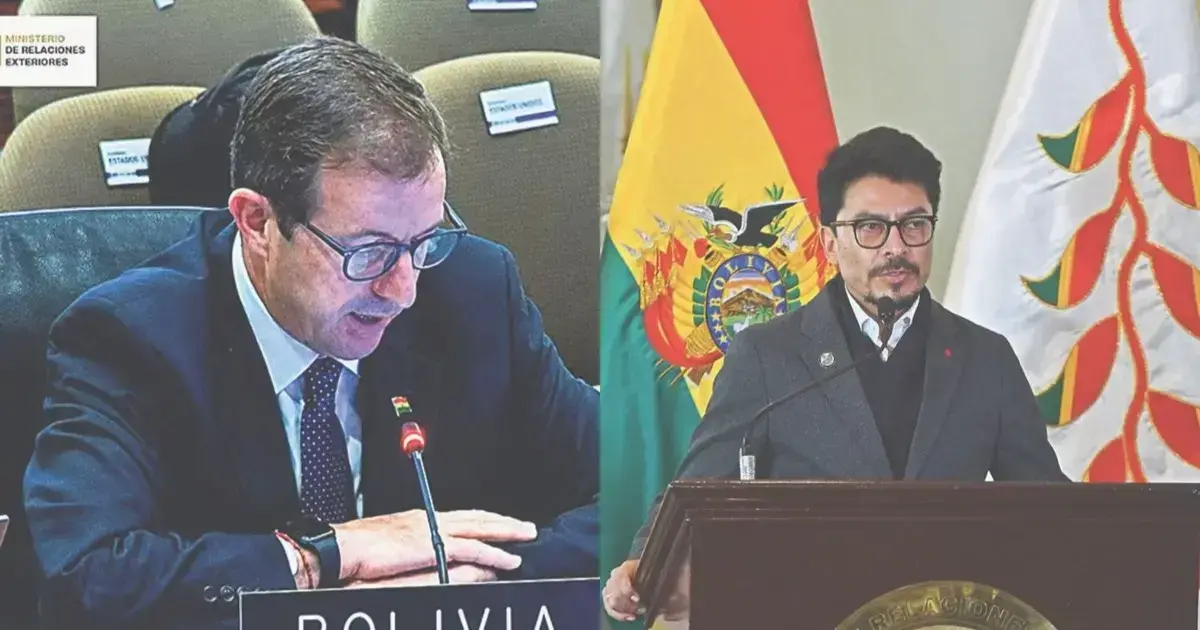El vicecanciller Carlos Paz en la sede de la OEA y el canciller Aramayo participó virtualmente