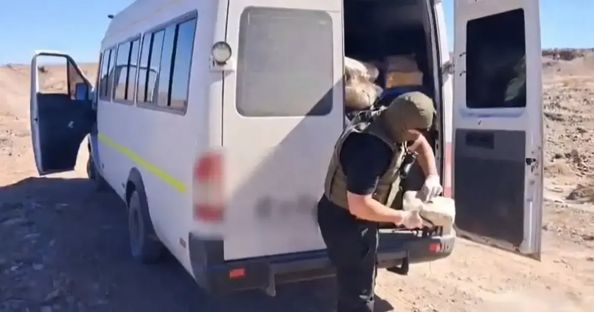 Imagen sin título