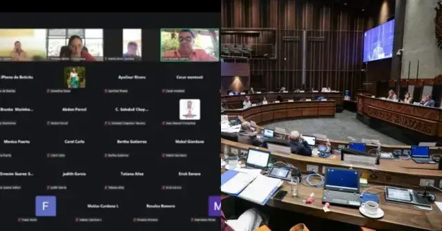 El senado sesionó este jueves de manera virtual. Foto: Composición/CORREO DEL SUR