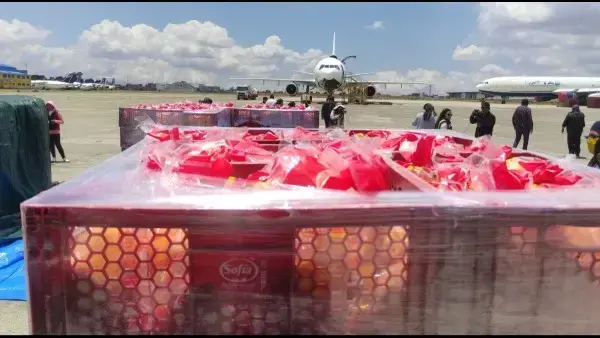 Transporte de alimentos por bloqueos. Avión Hércules de la Fuerza Aérea Argentina para apoyo humanitario en Bolivia.