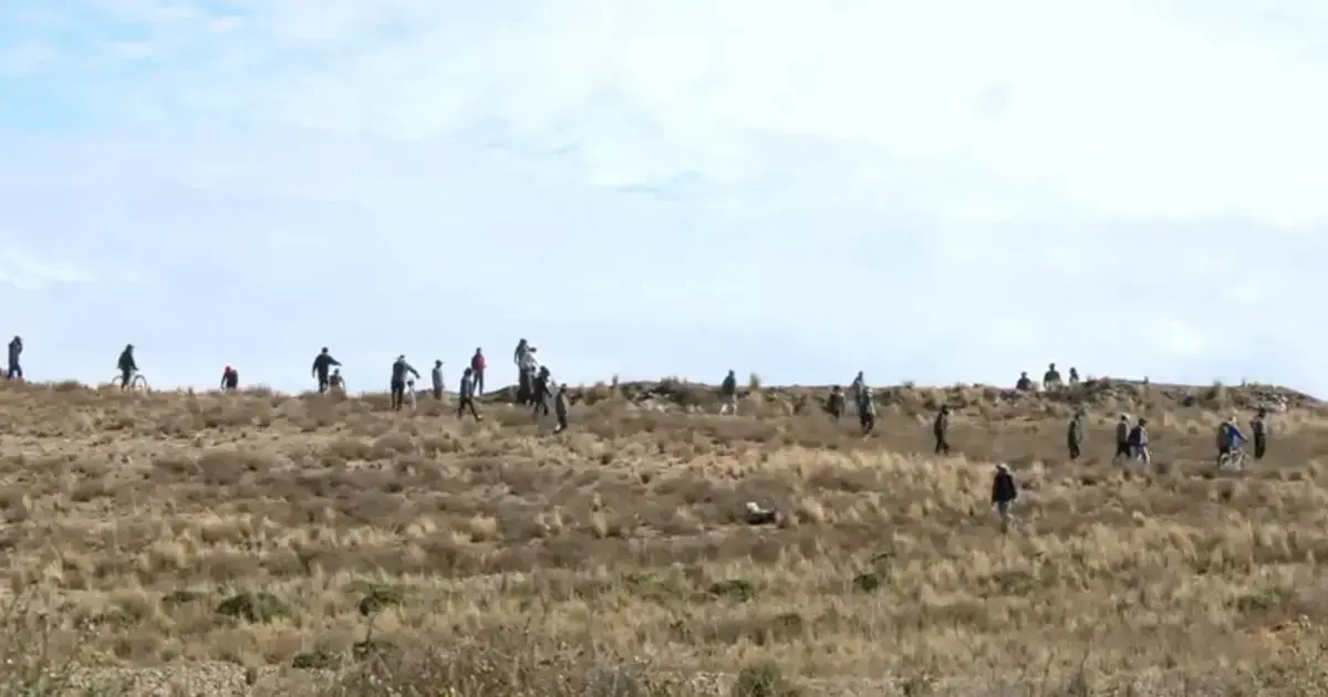 Imagen sin título