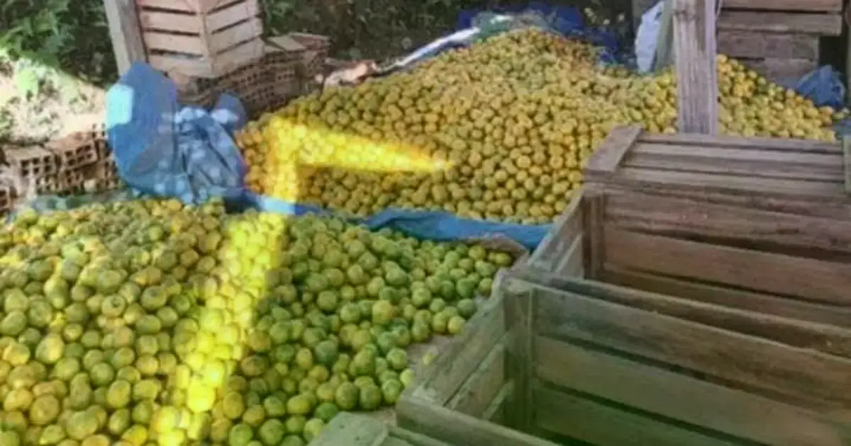 Imagen sin título