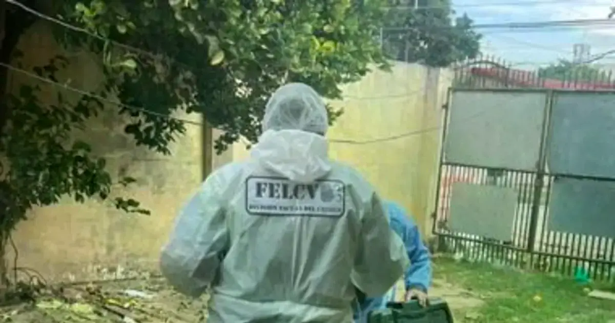 Imagen sin título