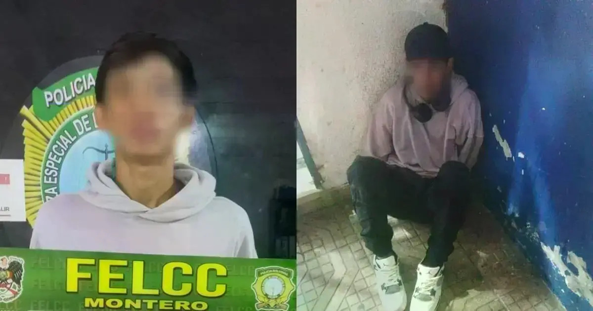 Imagen sin título