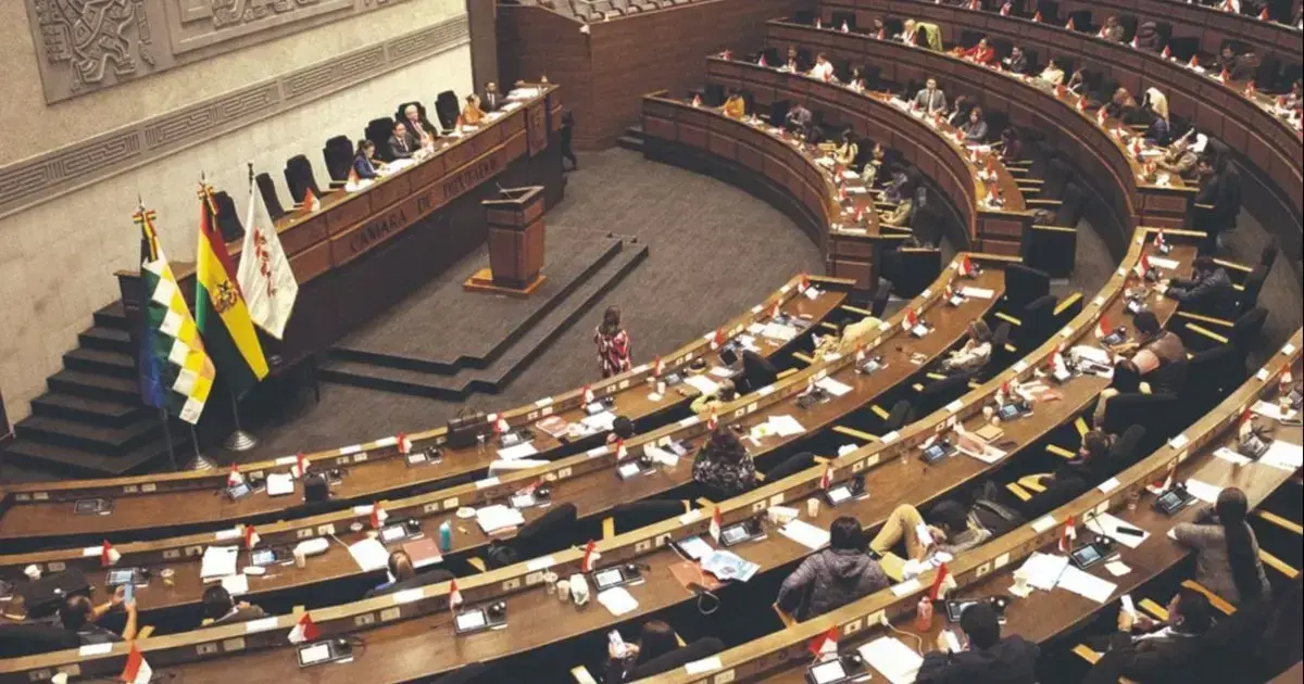 Una sesión plenaria de la Cámara de Diputados en La Paz. Hoy se reunirán de manera virtual.
