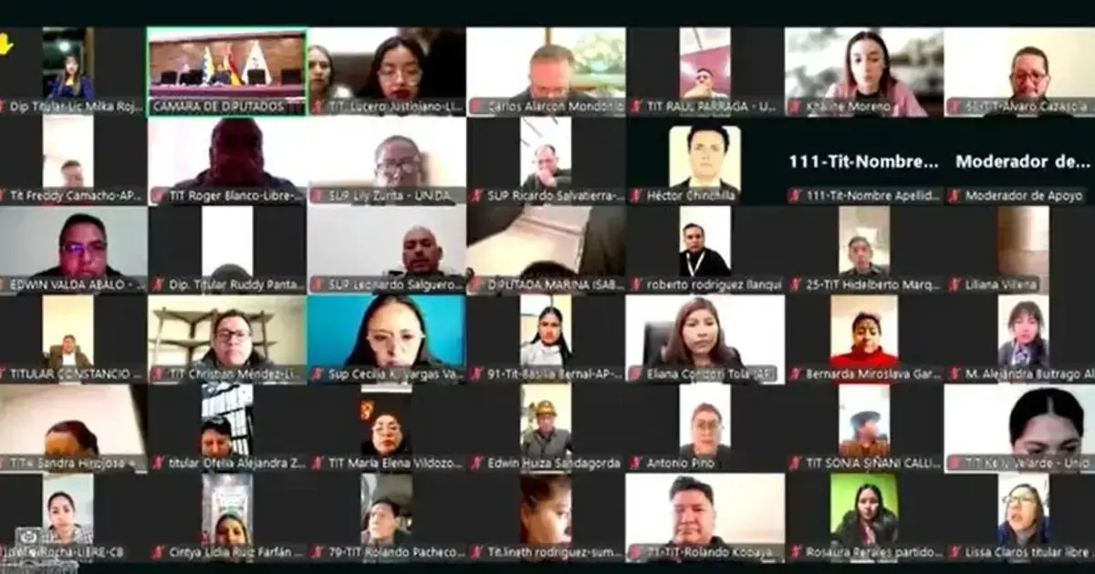 Sesión virtual de los diputados