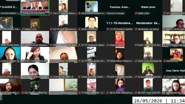 La sesión virtual de la Cámara de Diputados.