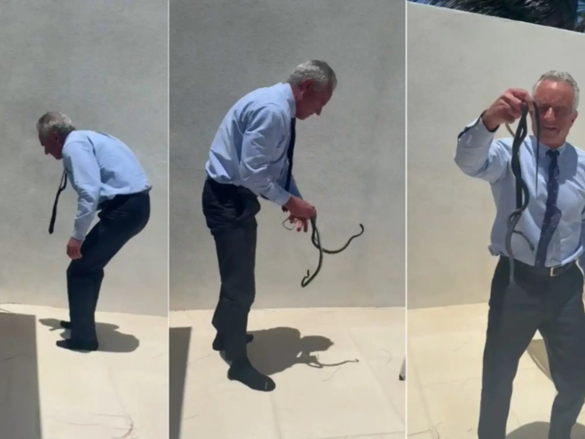 Robert Kennedy Jr., secretario de Salud de Trump, peleando con dos serpientes.