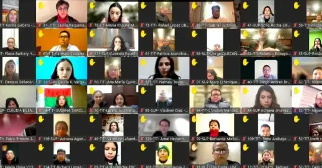 La sesión se desarrolló de manera virtual. Foto: Captura de video