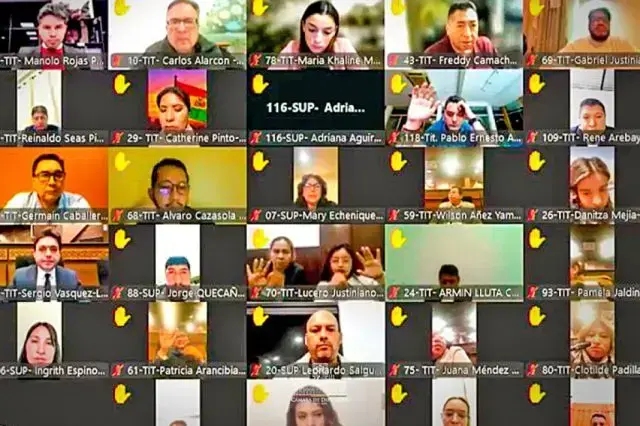 Los diputados en la sesión virtual de este martes.