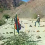 Bolivia registra 66 bloqueos en carreteras en el día 28 del conflicto