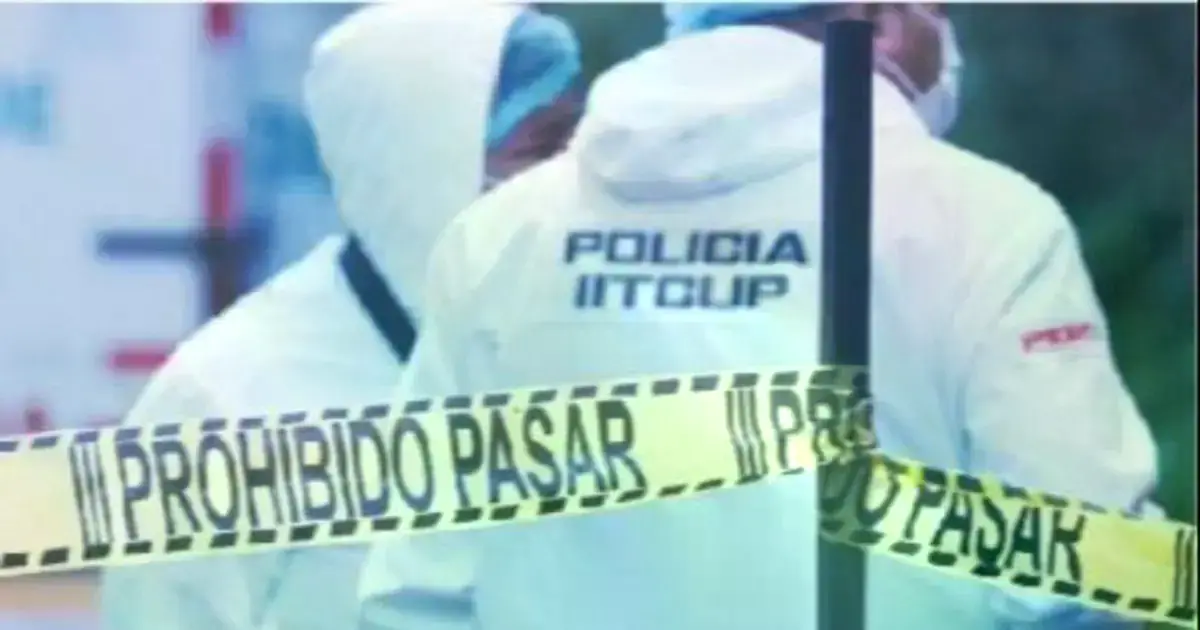 Imagen sin título