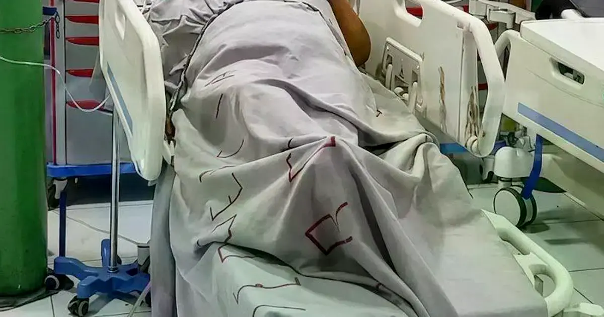 Imagen sin título