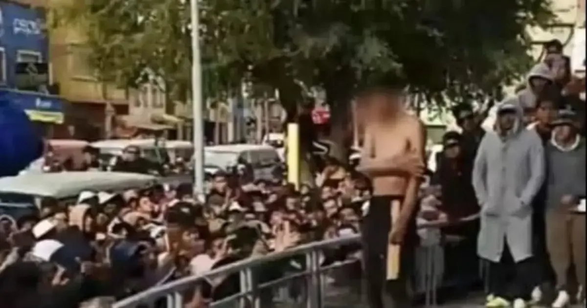 Imagen sin título