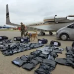 Jet privado de Miami es interceptado en Paraguay con 261 kilos de marihuana