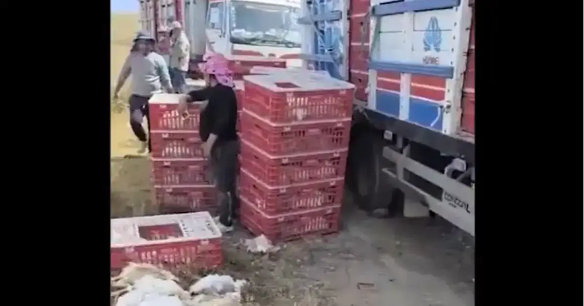 Imagen sin título